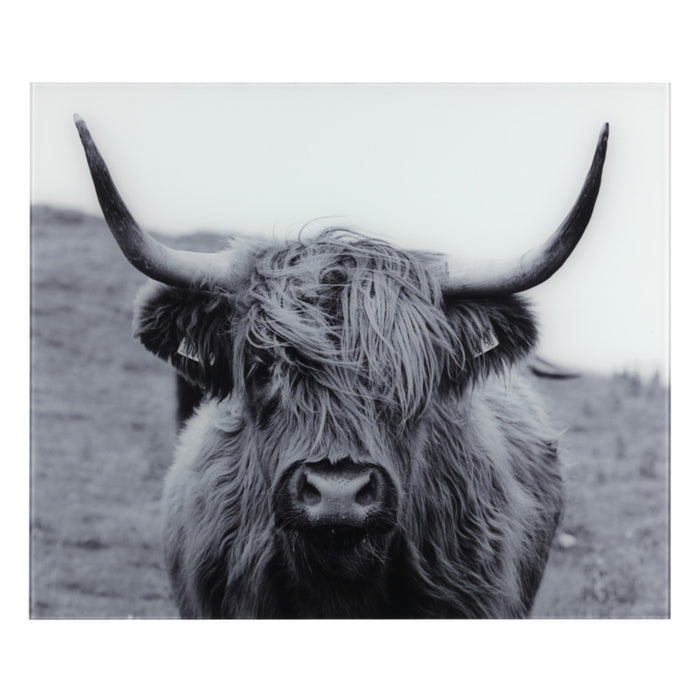 Glasrückwand Highland Mod. Cattle 60 x 50 cm