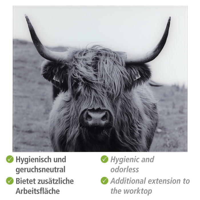 Glasrückwand Highland Mod. Cattle 60 x 50 cm