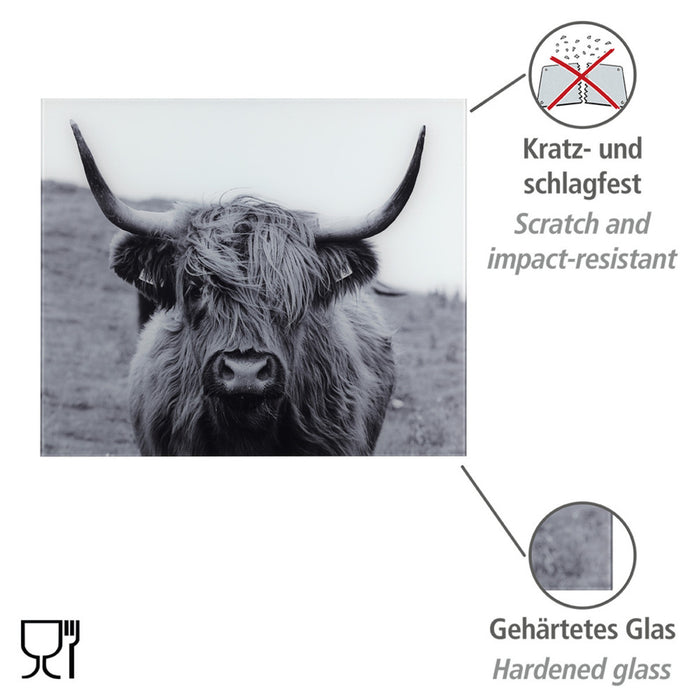 Glasrückwand Highland Mod. Cattle 60 x 50 cm