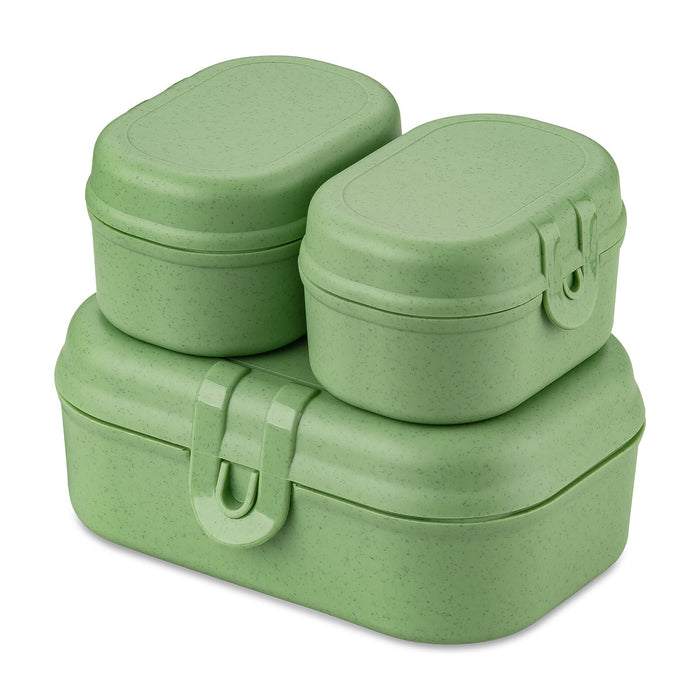 Lunchbox-Set, PASCAL READY MINI, 3er-Set